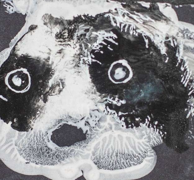 Psicosis Colectiva Galo Duque 11