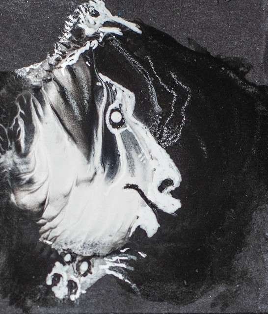 Psicosis Colectiva Galo Duque 13