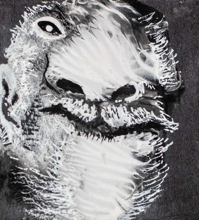 Psicosis Colectiva Galo Duque 19