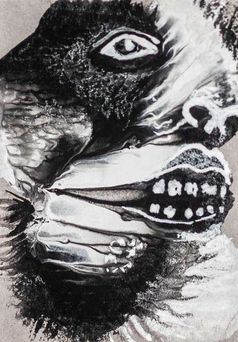 Psicosis Colectiva Galo Duque 21