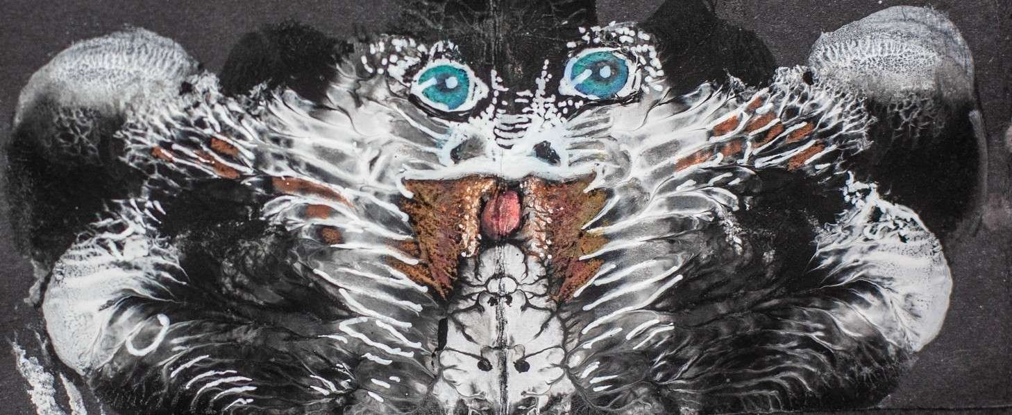 Psicosis Colectiva Galo Duque 27